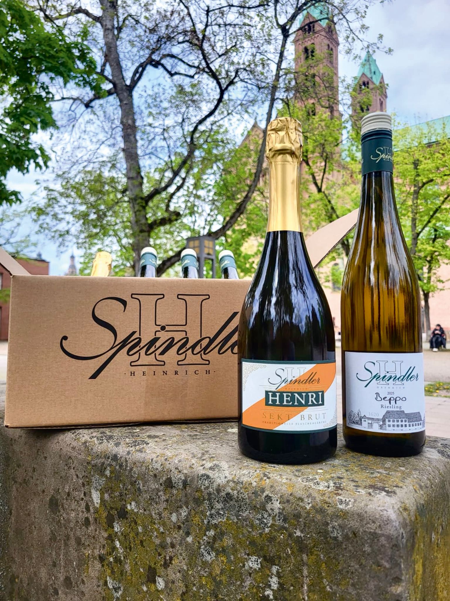 Wein am Dom Siegerpaket
